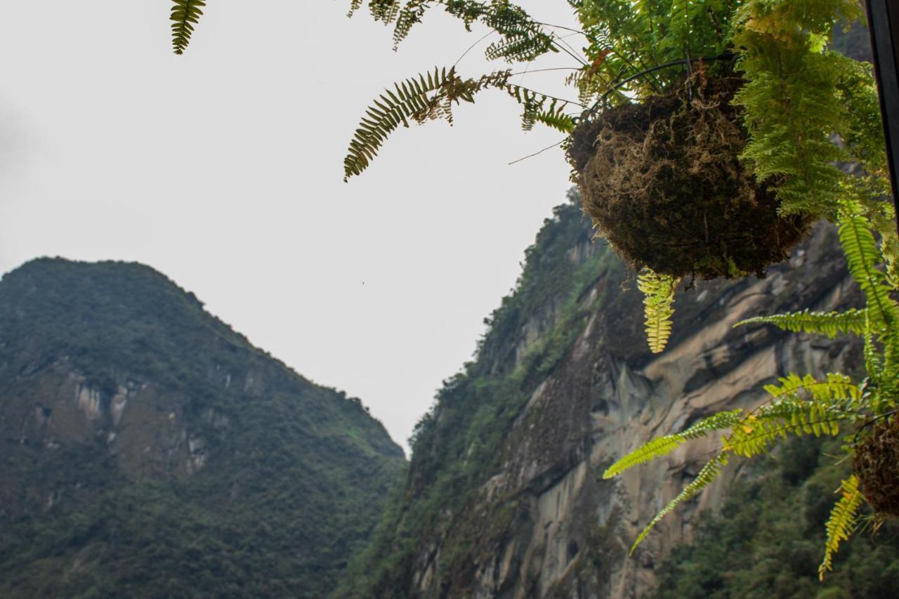 Runas Inn Machupicchu Exteriér fotografie