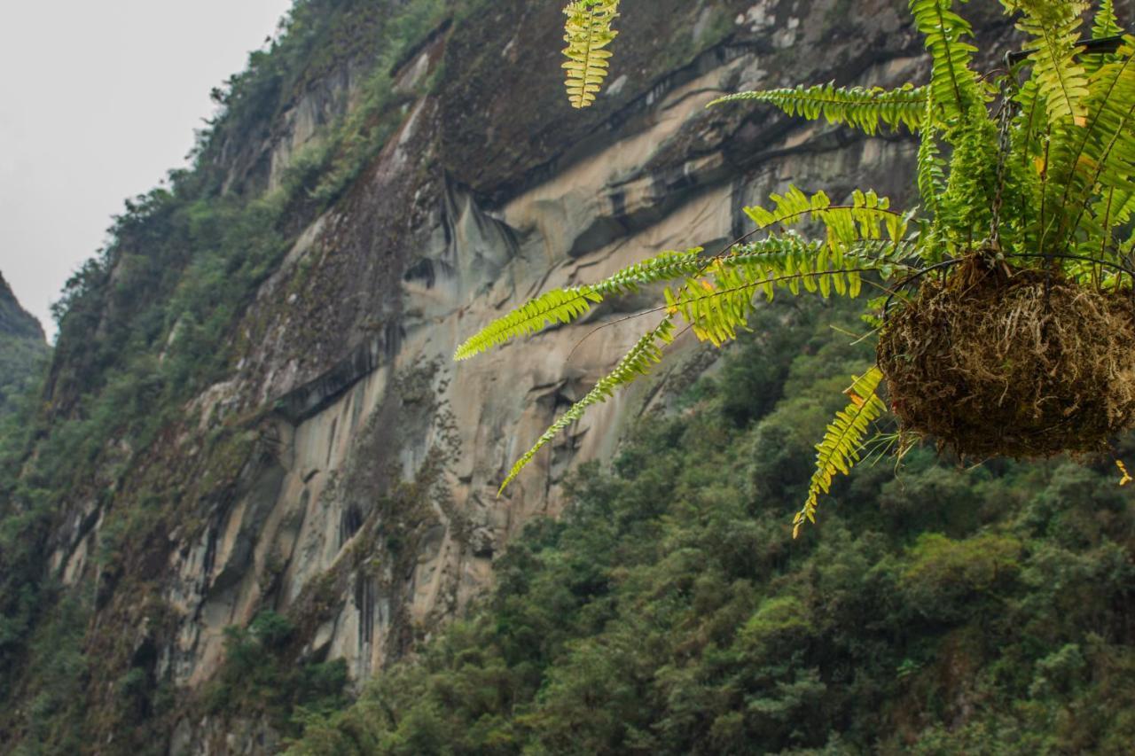 Runas Inn Machupicchu Exteriér fotografie